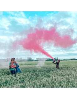 Extincteur Poudre Holi Gender Reveal XL Rose Ou Bleu -Fournitures De Fête extincteur poudre holi gender reveal xl 2