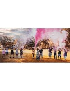 Extincteur Poudre Holi Gender Reveal XL Rose Ou Bleu -Fournitures De Fête extincteur poudre holi gender reveal xl 3